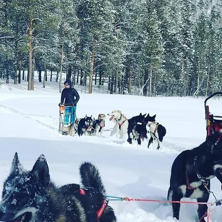 At Stengelesen Husky Prázdninový dům Alta